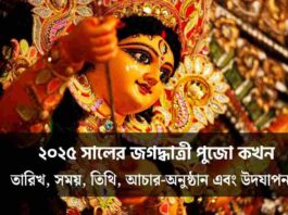 Devotees worship Goddess