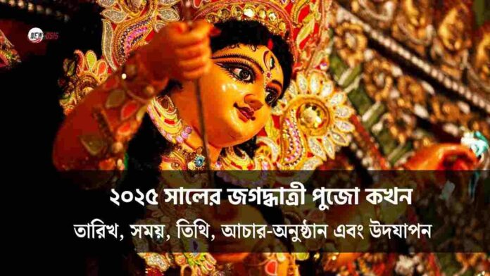 Devotees worship Goddess