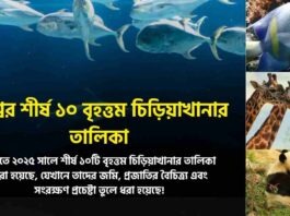 Discover the List of the Top 10 Largest Zoos in the World