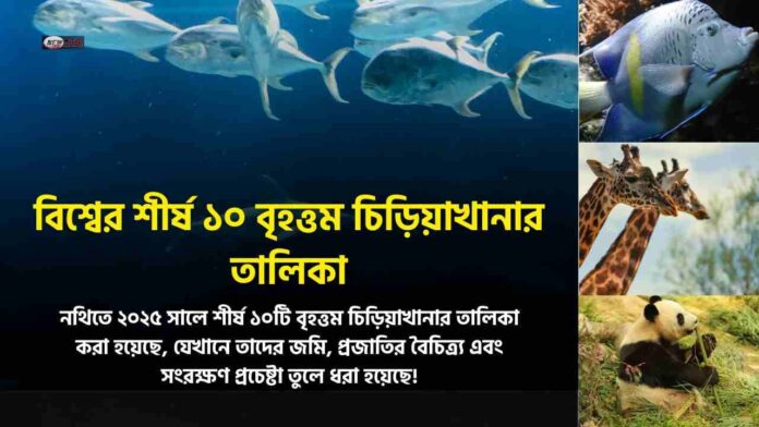 Discover the List of the Top 10 Largest Zoos in the World
