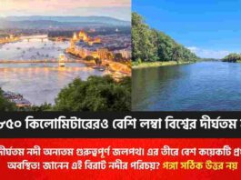 Discover which is the longest river in the world