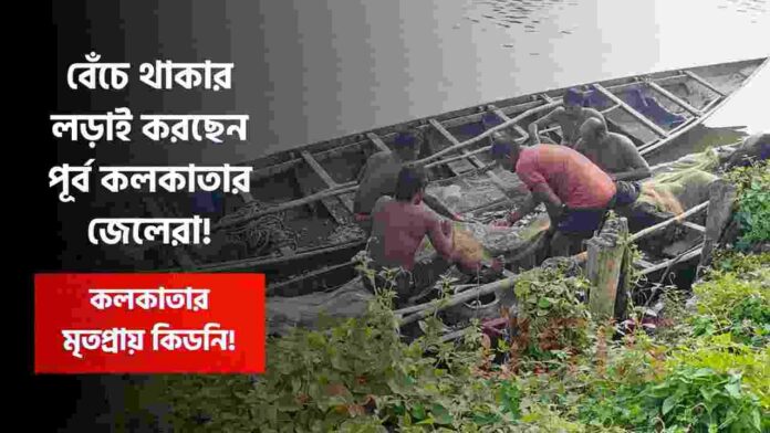 East Kolkata Wetlands & fishers fight for survival