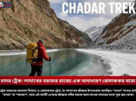 Experience the Thrill of Chadar Trek Ladakh