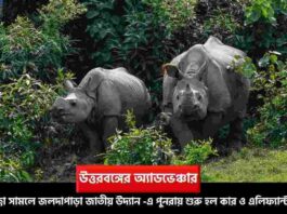 Jaldapara Elephant Safari Resumes After Flood