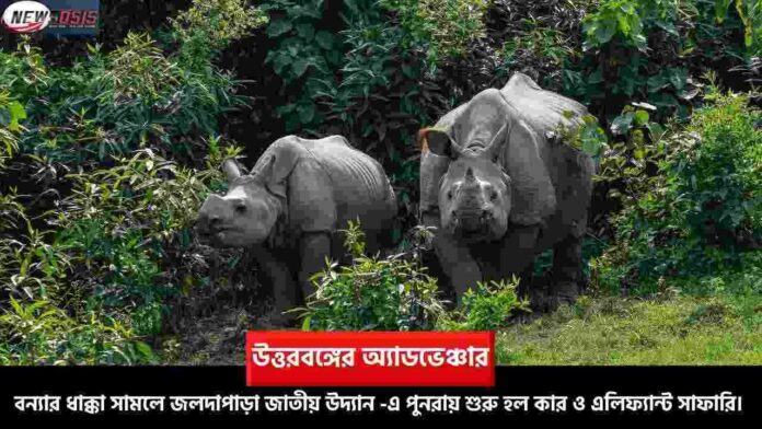 Jaldapara Elephant Safari Resumes After Flood