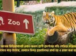 List Of The Top 10 Largest Zoo In The World