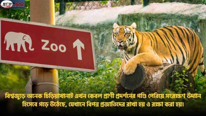 List Of The Top 10 Largest Zoo In The World