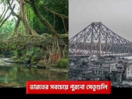 Oldest Bridge in India That Defied Time and Nature