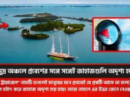 What Is The Mystery Of Bermuda Triangle