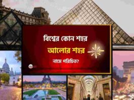 Which City is called the city of lights in world_