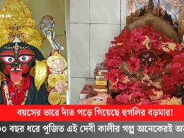 Witness the Kali Puja of Boro Maa in Hooghly