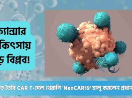 A Revolutionary NexCAR19 CAR T-Cell Cancer Therapy