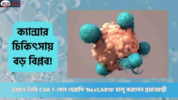 A Revolutionary NexCAR19 CAR T-Cell Cancer Therapy