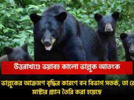 Attacks by the Asiatic black bear in Uttarakhand