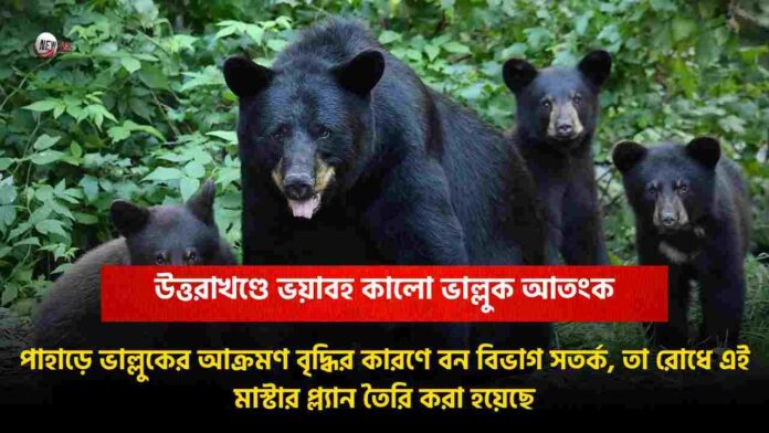 Attacks by the Asiatic black bear in Uttarakhand