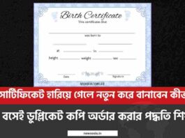 Birth Certificate Lost What To Do Shown Step by Step