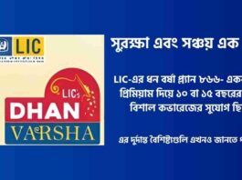 Check out the LIC Dhan Varsha 866 Plan Details