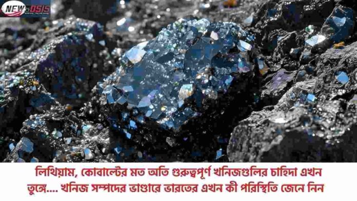 Critical Minerals Big Role in a Sustainable Future