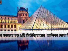 Discover Which is the Biggest Museum in the World
