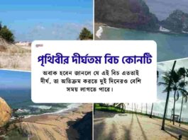 Discover the longest beach in the world​
