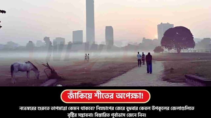 Don’t Miss This Big Update on Winter in West Bengal