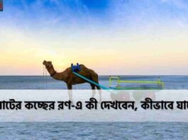 Natural Beauty of the Salt Desert Rann of Kutch