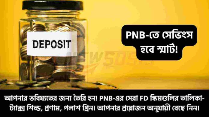 PNB Fixed Deposit Scheme for Earn More & Save Smart