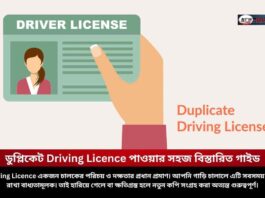 Secret Guide to What To Do If Driving Licence Is Lost