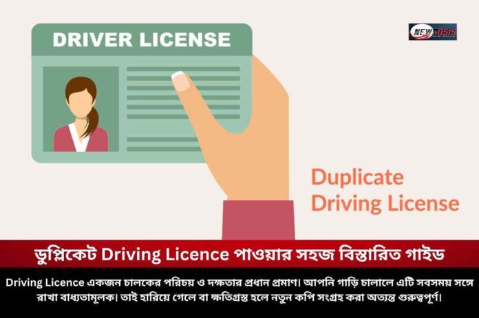 Secret Guide to What To Do If Driving Licence Is Lost