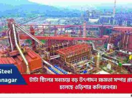 Tata Steel Kalinganagar plant plans to large site