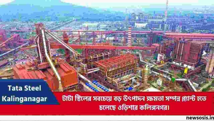 Tata Steel Kalinganagar plant plans to large site