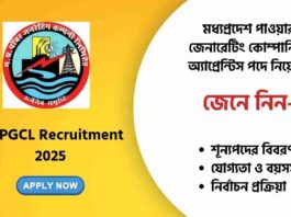 Apply Online by Dec 31 for MPPGCL Recruitment 2025