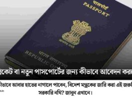 Follow This Method on what to do if I lost my passport