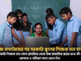 How to Become a Government Teacher After 12th Class