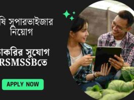 RSMSSB Recruitment 2025 for Agriculture Supervisor