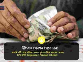 The EPF pension calculator​ and Eligibility rules