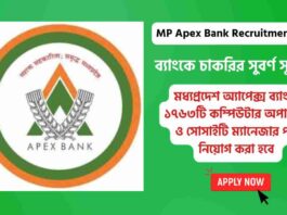 Apply online for MP Apex Bank Recruitment 2026