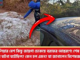 Frost in Purulia as Temperatures Drop to a Record Low