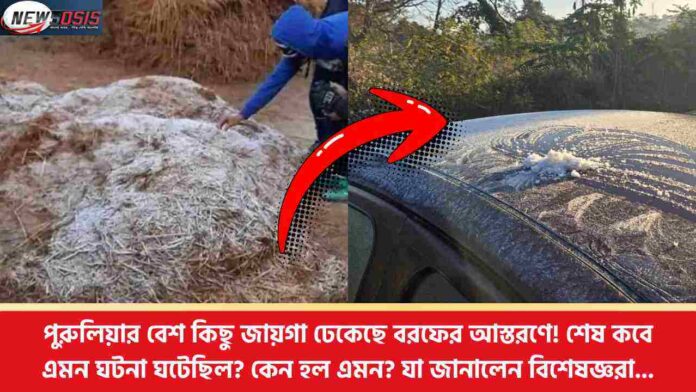 Frost in Purulia as Temperatures Drop to a Record Low
