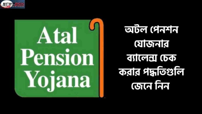 Guide on how to Check Atal Pension Yojana Balance