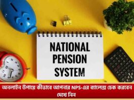 Learn How to Check NPS Balance Online or Missed Call